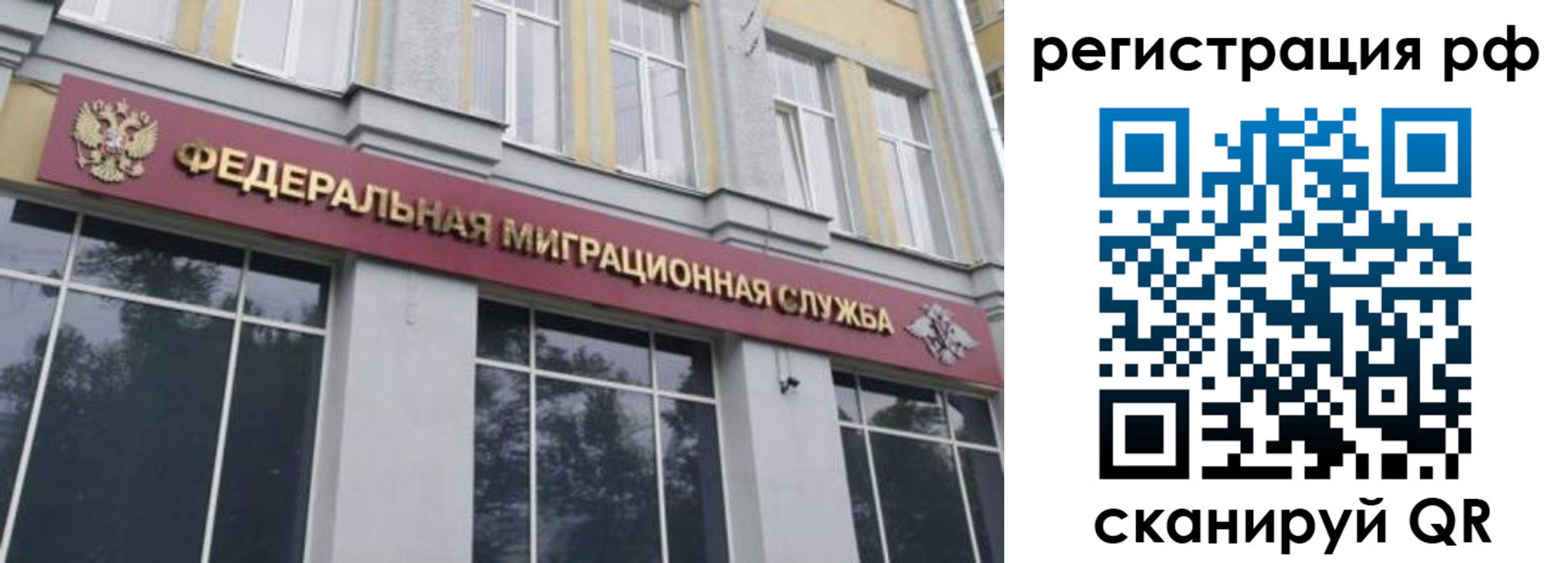 прописка законно в Соколе